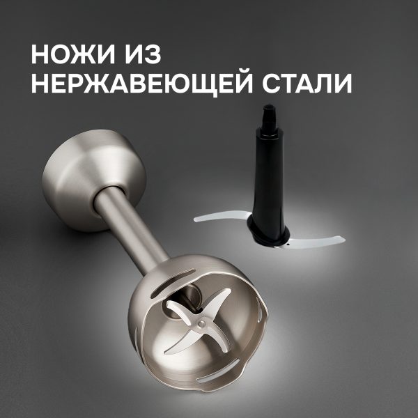 Блендер Zigmund & Shtain BH-241 M