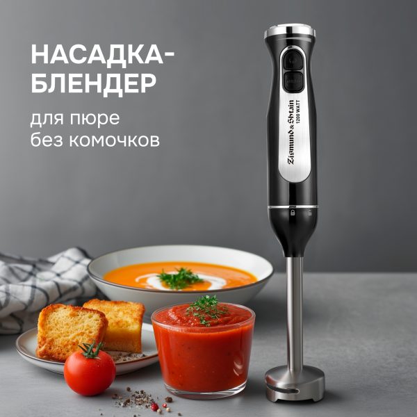 Блендер Zigmund & Shtain BH-242 M