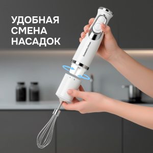Блендер Zigmund & Shtain BH-244 M