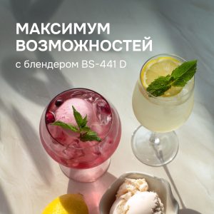 Блендер Zigmund & Shtain BS-441 D