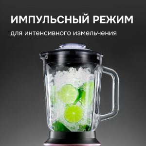 Блендер Zigmund & Shtain BS-442 D