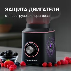 Блендер Zigmund & Shtain BS-442 D