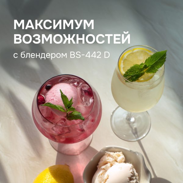 Блендер Zigmund & Shtain BS-442 D