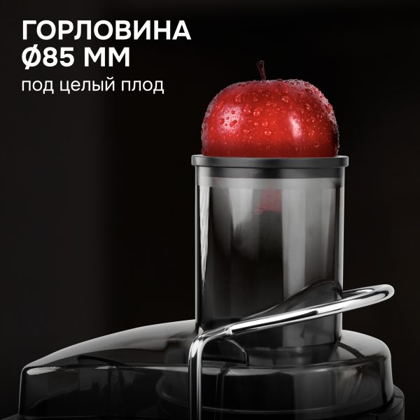Соковыжималка Zigmund & Shtain EJ-751