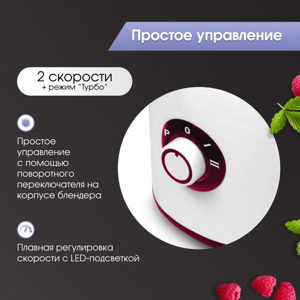 Блендер Zigmund & Shtain BS-439 D