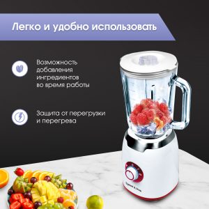 Блендер Zigmund & Shtain BS-439 D