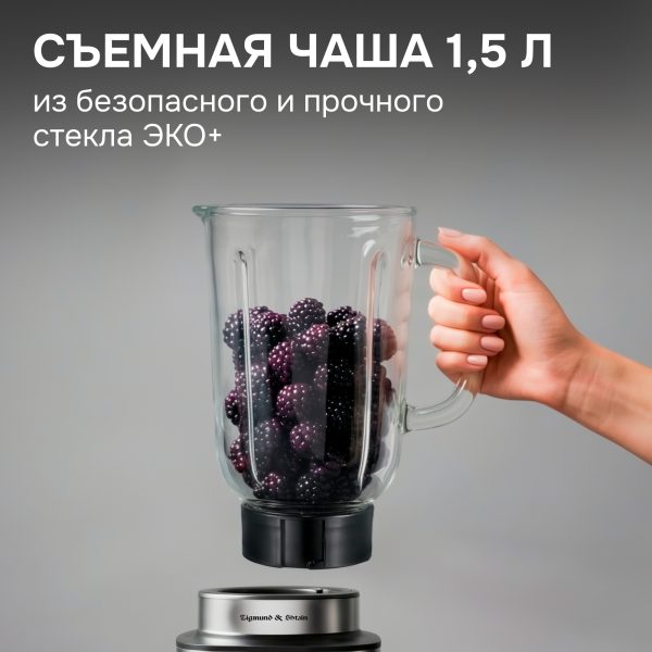 Блендер Zigmund & Shtain BS-488 D