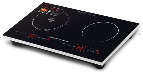 ZCP-560