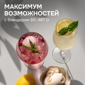Блендер Zigmund & Shtain BS-487 D