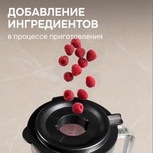 Блендер Zigmund & Shtain BS-489 D
