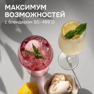 Блендер Zigmund & Shtain BS-489 D