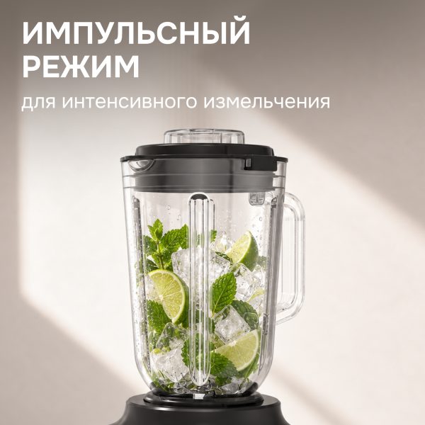 Блендер Zigmund & Shtain BS-489 D